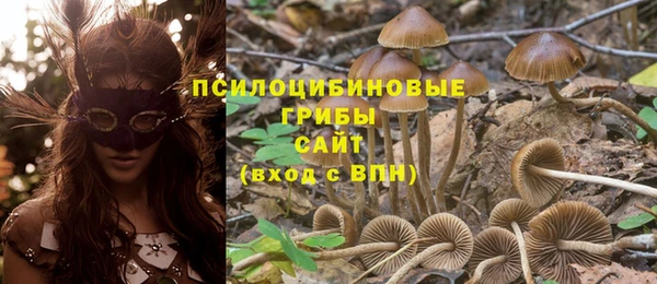 каннабис Бородино